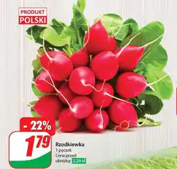 Dino Rzodkiewka oferta