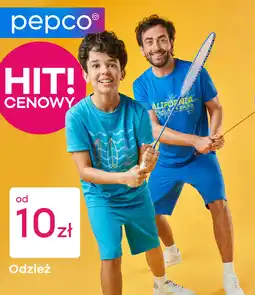 Pepco Odzież Pepco oferta