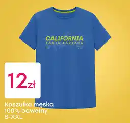 Pepco Koszulka męska Pepco oferta
