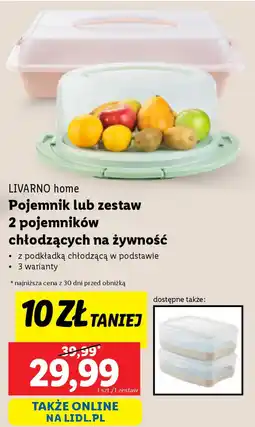 Lidl Livarno home pojemnik lub zestaw 2 pojemników chłodzących na żywność oferta