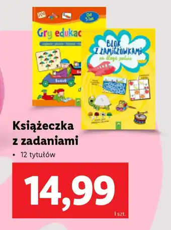 Lidl Książeczka z zadaniami oferta