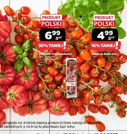 Netto Pomidor truskawkowy oferta