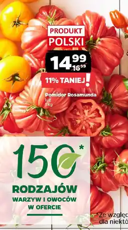 Netto Pomidor Rosamunda oferta