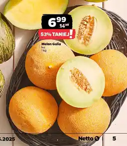 Netto Melon Galia oferta
