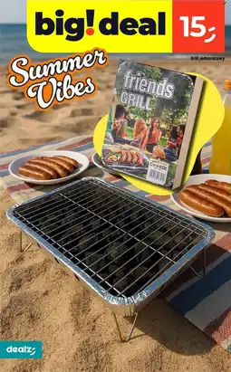 Dealz Grill jednorazowy oferta