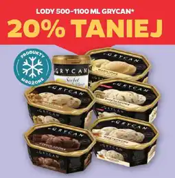 Netto Lody 500-1100 ml Grycan oferta
