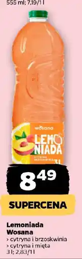 Netto Lemoniada Wosana oferta