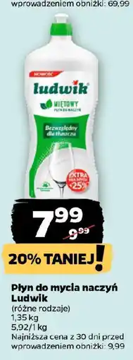 Netto Płyn do mycia naczyń Ludwik oferta