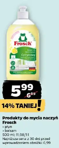 Netto Produkty do mycia naczyń Frosch oferta