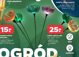 Netto Lampa solarna LED oferta