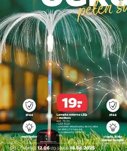 Netto Lampka solarna LED - meduza oferta