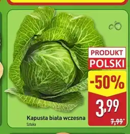 ALDI Kapusta biała Polski oferta