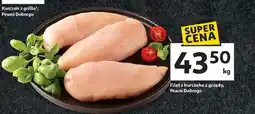 Auchan Filet z kurczaka grzędy oferta