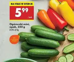 Biedronka Ogórek oferta