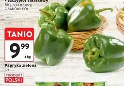 Intermarche Papryka zielona polska oferta