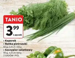 Intermarche Szczypiorek Z Sadów I Pól oferta