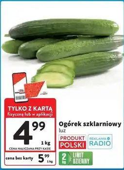Intermarche Ogórek szklarniowy polska oferta
