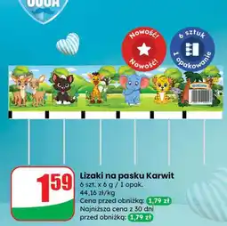 Dino Lizaki na pasku Karwit oferta