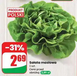 Dino Sałata masłowa Dino oferta