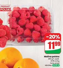 Dino Malina polska Dino oferta