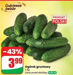 Dino Ogórek gruntowy Dino oferta