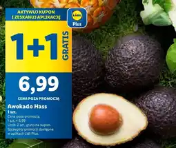 Lidl Awokado hass oferta