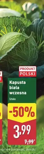 Kapusta biała młoda