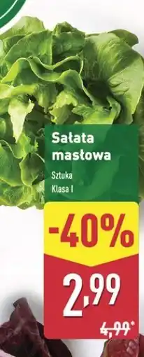 ALDI Sałata masłowa oferta