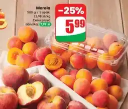 Dino Morela Dino oferta