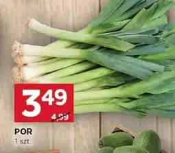 Stokrotka Por 1 szt. Stokrotka oferta