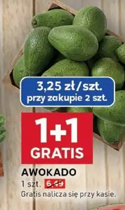 Stokrotka Awokado 1 szt. Stokrotka oferta