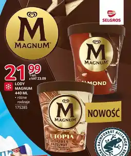 Selgros Lody Magnum różne rodzaje oferta