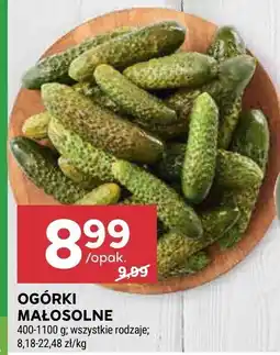 Stokrotka Ogórki małosolne Stokrotka oferta