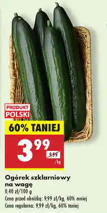 Biedronka Ogórek szklarniowy oferta