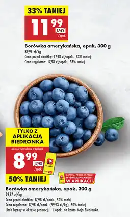 Biedronka Borówka amerykańska oferta