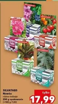 Kaufland Nawóz w tabletkach do roślin balkonowych Silva Tabs oferta