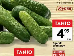 Intermarche Ogórek gruntowy oferta