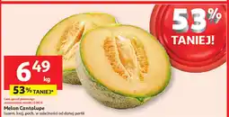 Melon cantaloupe