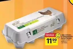 Delikatesy Centrum Jajka z chowu w ulepszonych klatkach Kurza Paczka L oferta