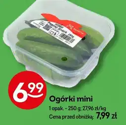 Żabka Ogórki mini Żabka oferta