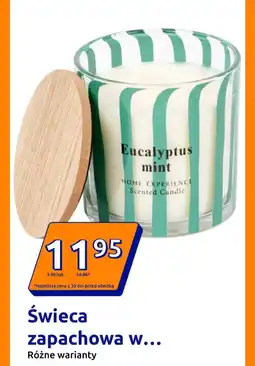 Świeca zapachowa eucalyptus mint home experience scented candle