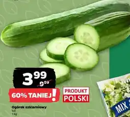 Netto Ogórek szklarniowy oferta