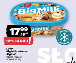 Netto Lody Big Milk Intense Algida oferta