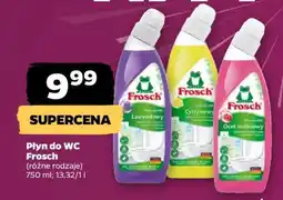 Netto Płyn do WC Frosch oferta