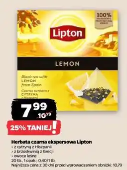 Netto Herbata czarna ekspresowa Lipton oferta