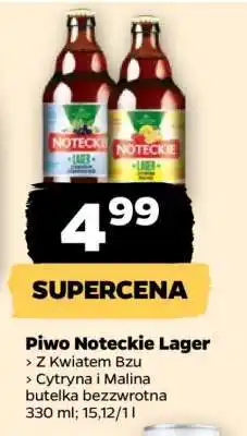 Netto Piwo Noteckie Lager oferta