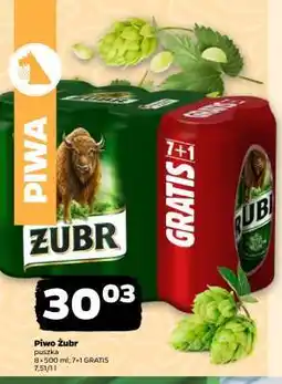 Netto Piwo ŻUBR oferta