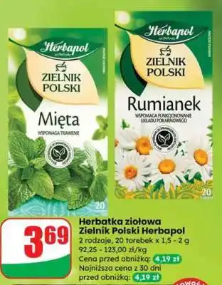 Dino Herbatka ziołowa Zielnik Polski Herbapol oferta