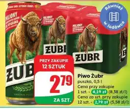 Dino Piwo ŻUBR oferta