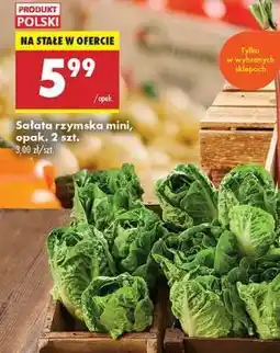 Biedronka sałata rzymska mini , opak . 2 szt oferta